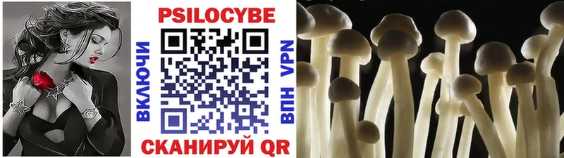 Псилоцибиновые грибы ЛСД  маркетплейс наркотические препараты  Гаджиево 