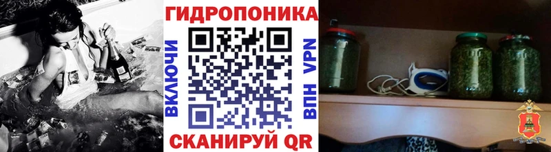 Бошки Шишки индика  купить закладку  Гаджиево 